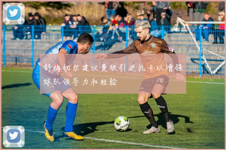舒梅切尔建议曼联引进扎卡以增强球队领导力和经验